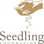 seedling foundation seedling foundation